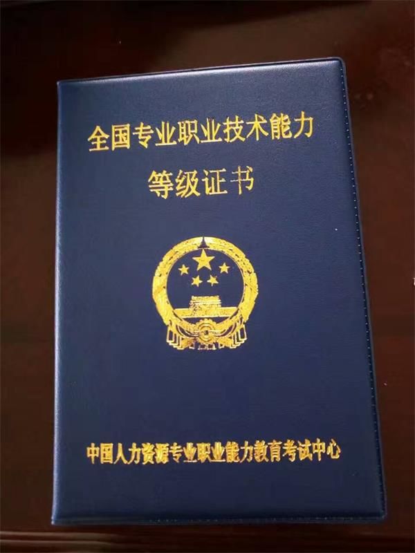 全國專業(yè)職業(yè)技術能力等級證書